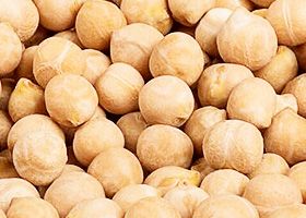 Chickpeas from United States supplied by Anchor Ingredients Co., LLC - Brown Dried Chickpea