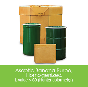 Aseptic Banana Puree  Homogenized from 코스타리카 supplied by Paradise Ingredients - Drums 신선 바나나