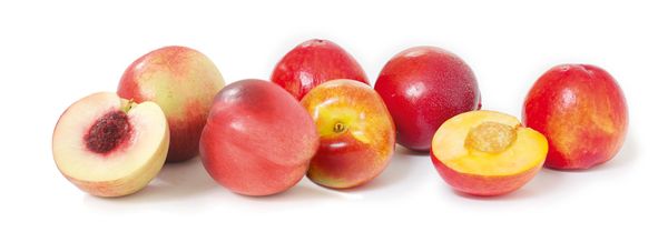 Nectarine from 남아프리카공화국 supplied by Stems Fruit - Red Skin Color 신선 천도복숭아