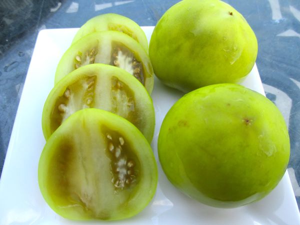 Pickled Tomato from 미국 supplied by NorthStar Pickle Company - Green 통조림 또는 병에 든 토마토