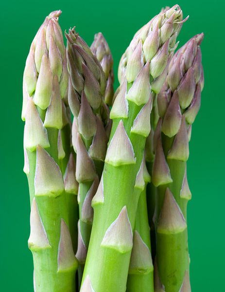 Asparagus from United States supplied by Altar Produce - Green Fresh Asparagus