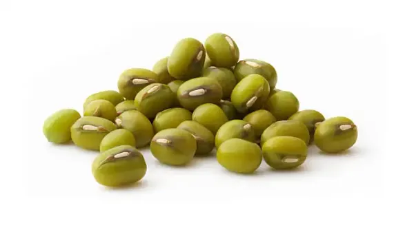 Green Mung Bean from 에티오피아 supplied by Tamrin International Trading PLC - PP Bags (10kg) 말린 녹두