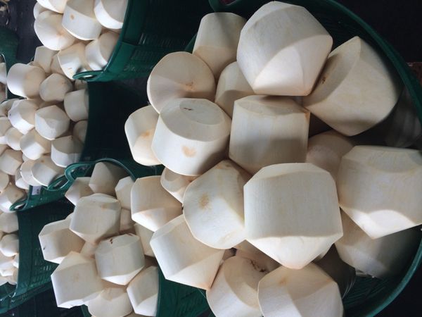 Young Coconut from 태국 supplied by OP Fruits Co., LTD. - Best Quality 기타 신선 코코넛