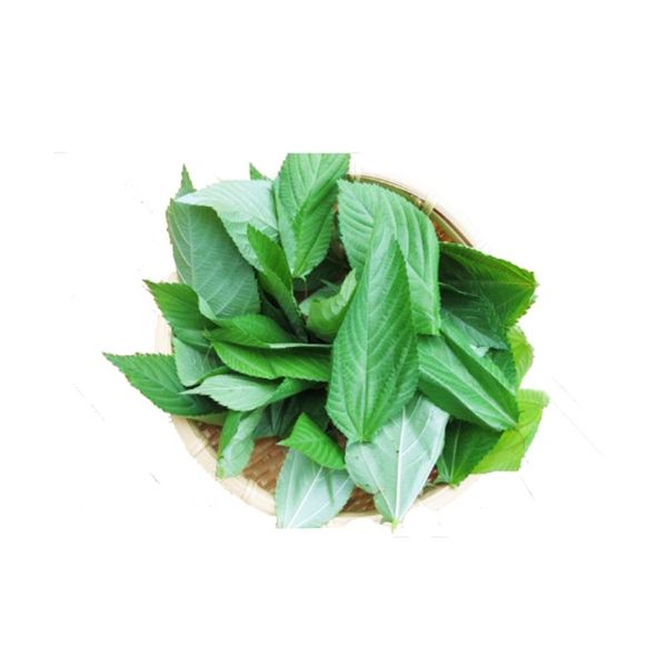 Frozen green molokhia from 이집트 supplied by First choice - Frozen 몰로키아