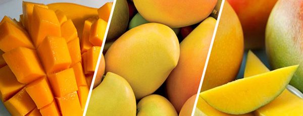 Mango Pulp from 인도 supplied by Popat Raja & Sons - Totapuri 신선 망고