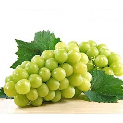 Green Grapes from 베트남 supplied by Phuc Linh Trading Development Company Limited - Green (=Unripe=Sour) 신선 포도