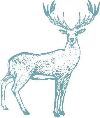 MDM New Zealand Venison from 뉴질랜드 supplied by Oceania Meat Processors - Frozen 사슴고기