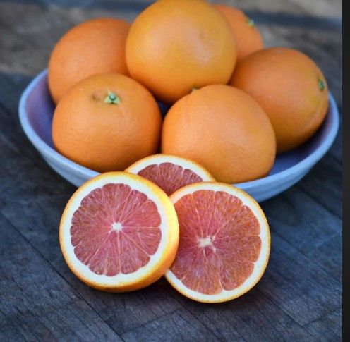 organic navel orange from 미국 supplied by SUNRISE FARMS - Navel - Navelate (=Navel Late) 신선 오렌지