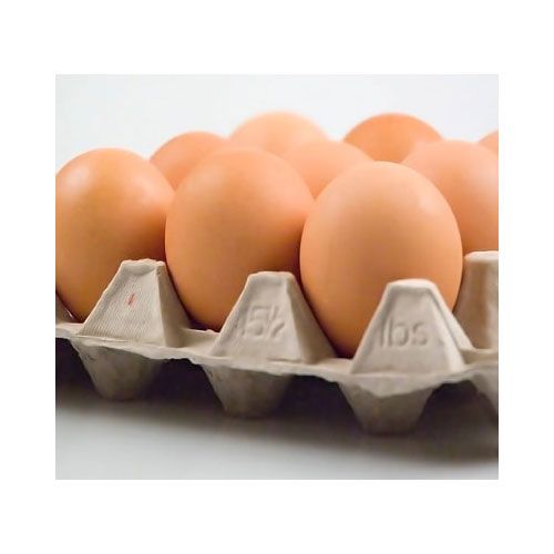 Fresh Organic Chicken Egg from Ireland supplied by Michael Gannon & Sons Ltd - Gannon's Eggs & Poultry - In Shell Chicken Egg