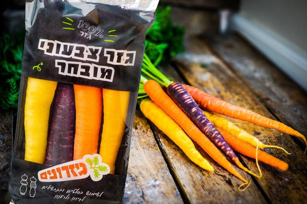 Fresh Carrot from 이스라엘 supplied by Gizronim - 긴 저장수명 신선 당근