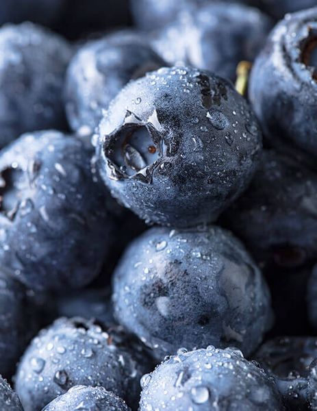 Blueberry from United States supplied by Altar Produce - Crushed Fresh Blueberry