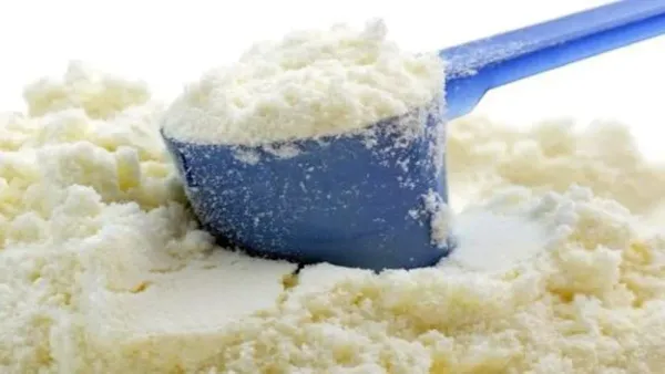 Milk Powder from 폴란드 supplied by Spółdzielnia Obrotu Towarowego Przemysłu Mleczarskiego - Powder 우유