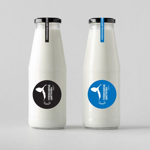 Cow milk from 러시아 supplied by JSC Plemzavod named after V.N. Tsvetkov - Liquid 우유