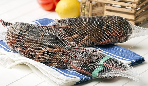 Whole Lobster from United States supplied by East Coast Seafood - Whole Frozen Common Lobster