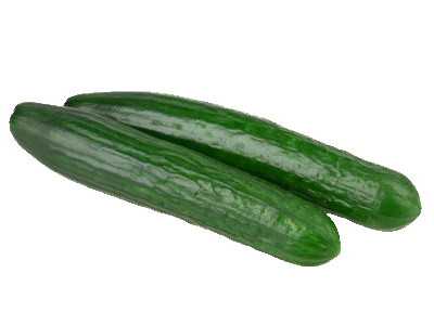 Fresh Cucumber from Belgium supplied by DE PLECKER-LAUWERS - Whole Fresh Cucumber
