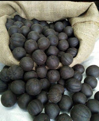 dried lemon from 이집트 supplied by Al Shams company for general import and export - 20 kg pp bags 신선 레몬