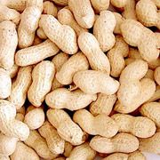 GroundNut from 말레이시아 supplied by Bhanderi Groups Sdn Bhd - With skin 땅콩 알맹이