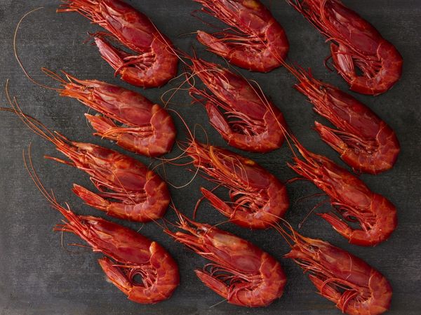 Shrimp from 스페인 supplied by Mark Foods Inc - Shell On (=Unpeeled) 냉동 새우