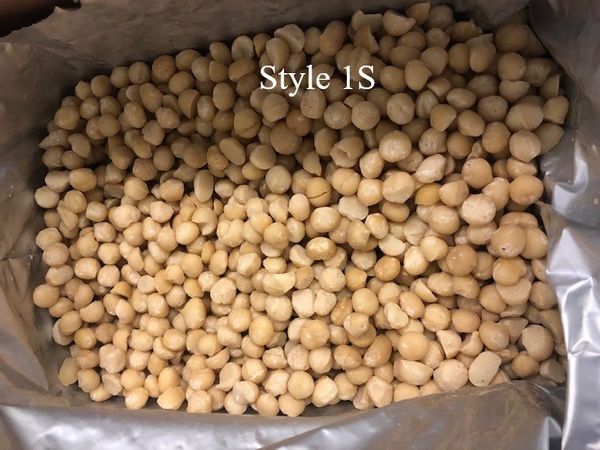 Macadamia from 호주 supplied by Exports of Australia Pty Ltd - Style 4 (halves, 10-13 mm) 마카다미아 알맹이