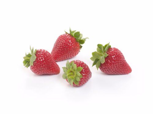 Strawberry from 벨기에 supplied by Fruithandel Wouters - Red 신선 딸기