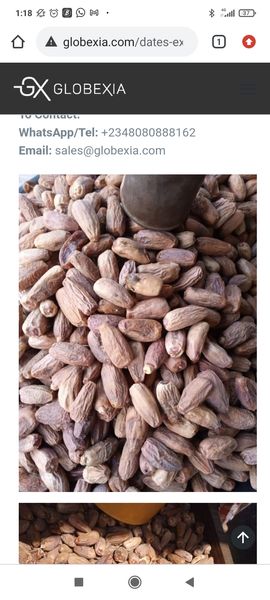 Mabroom Dates from 니제르 supplied by REGAL MIEN AND SIGNATURES LTD - Dried 기타 말린 과일