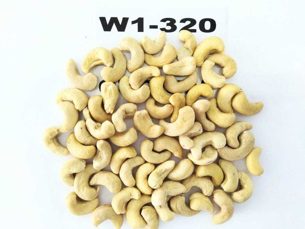 Cashew Nut from Brazil supplied by Greenlife Cashew Exports LTDA - WW320 (=White Wholes 320) Cashew Nut Kernel