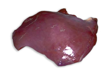 Fresh Beef from Poland supplied by P.P.U.H Henryk Kowalczyk - Trimmings Fresh Whole Beef