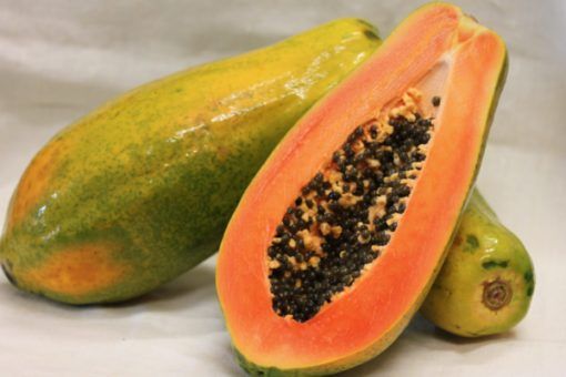 Papaya from Switzerland supplied by Fruit passion - Orange Flesh Fresh Papaya