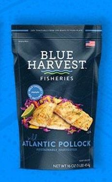 Wild Atlantic Pollock from 미국 supplied by Blue Harvest Fisheries - Vacuum Packed (=VAC) 검정대구