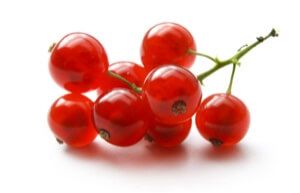 Ribes from Italy supplied by Melinda - Red Fresh Gooseberry