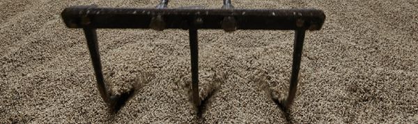Malt from 미국 supplied by CHARLES FARAM - Brown 밀엿기름