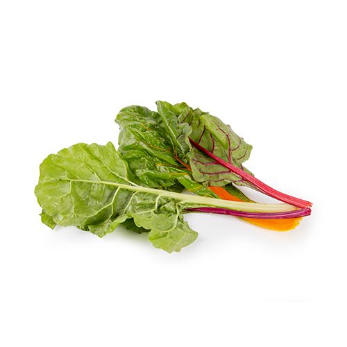 Dried Chard from 독일 supplied by R. Steinicke GmbH - Dried - AD (Air Drying) 근대