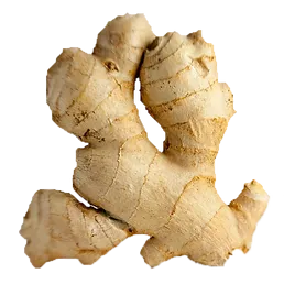 Fresh Ginger from 페루 supplied by Monha Service S.A.C. - Conventional 통생강