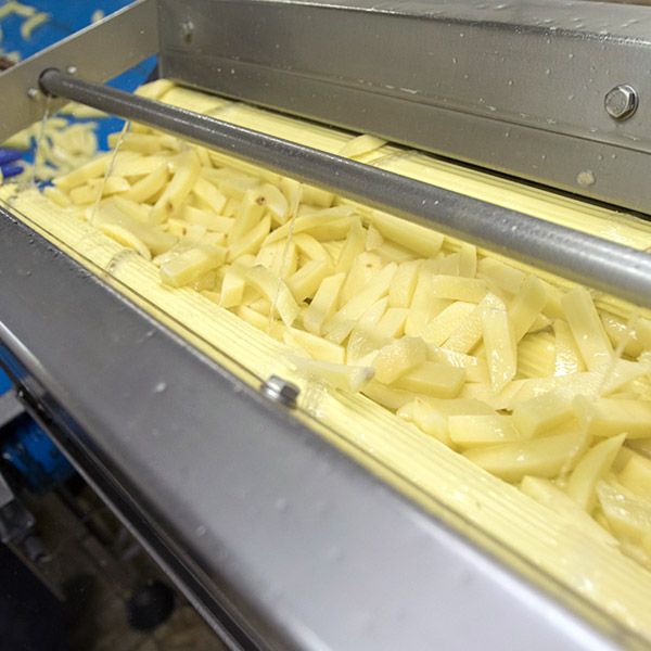 Potato Fries from Netherlands supplied by Gielke Verse Friet BV - Cut - Straight Fresh Common Potato