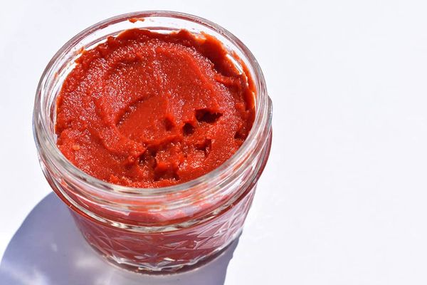 Tomato Paste from 그리스 supplied by D. Nomikos S.A. - Pulp 신선 토마토