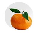 Nadorcott Clementine from Spain supplied by Fruca Marketing - Fresh (=Chilled) Fresh Clementine