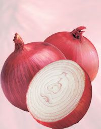 Fresh Onion from Pakistan supplied by AGRICIA MDS INTERNATIONAL - Whole Fresh Onion