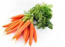 Fresh Carrot from 아프가니스탄 supplied by Takdana Co. Ltd. - Fresh (=Chilled) 신선 당근