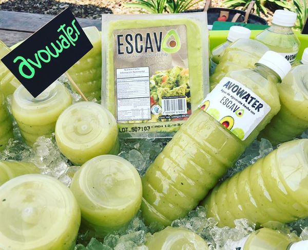 Avowater from 멕시코 supplied by Grupo Escamp - Smoothie (=Puree Added) 기타 주스 상품
