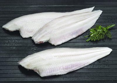 Tropical Sole Fillet from 스페인 supplied by MRT - Marine Resources Trading España S.L. - Tropical Sole - Cynoglossus Senegalensis 냉동 솔피쉬