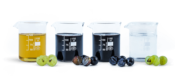 Grape Juice from Spain supplied by JULIAN SOLER S.A. - NFC (=Not From Concentrate=Directly Expressed) Grape Juice