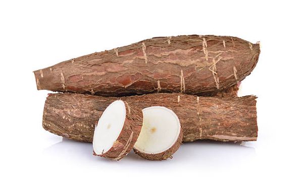 Cassava from 도미니카공화국 supplied by KP EXPORT SRL - Whole 카사바