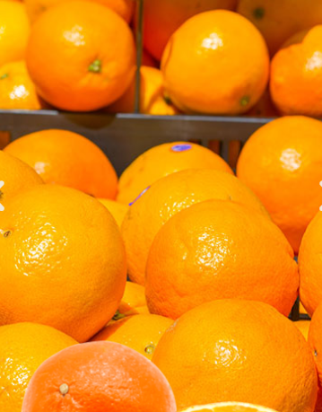 Orange from Chile supplied by San José Farms - Carton Box (=Cardboard Box) Fresh Orange