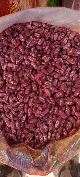 Kidney Bean from 우즈베키스탄 supplied by UZ-SEGANG LLC - 유기농 말린 강낭콩
