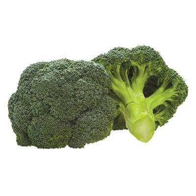 Organic broccoli from United States supplied by Bonipak Produce Co - Bonita Packing Co - Green Fresh Headed Broccoli