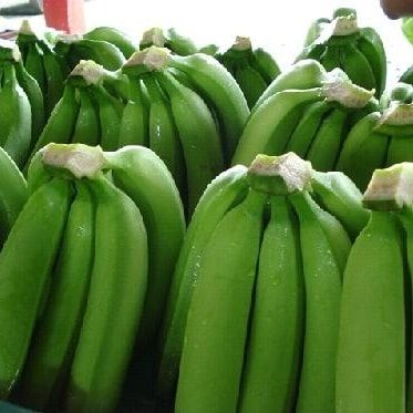 Banana from Kenya supplied by PROFRESH EXPORT LTD - Green Fresh Banana