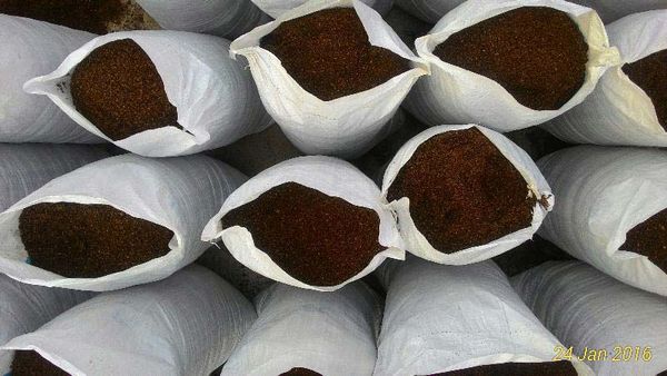 Coco peat low compress bags from Sri Lanka supplied by Zahra International Impex - Organic Coco Coir
