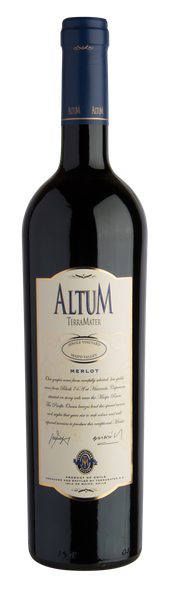 Altum Merlot from Chile supplied by TERRAMATER S.A. - Merlot Other Wine