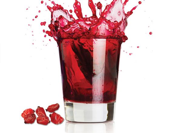 Barberry concentrate from Iran supplied by ايمان مهر(سهامي خاص) - Iman Mehr - Red Barberry