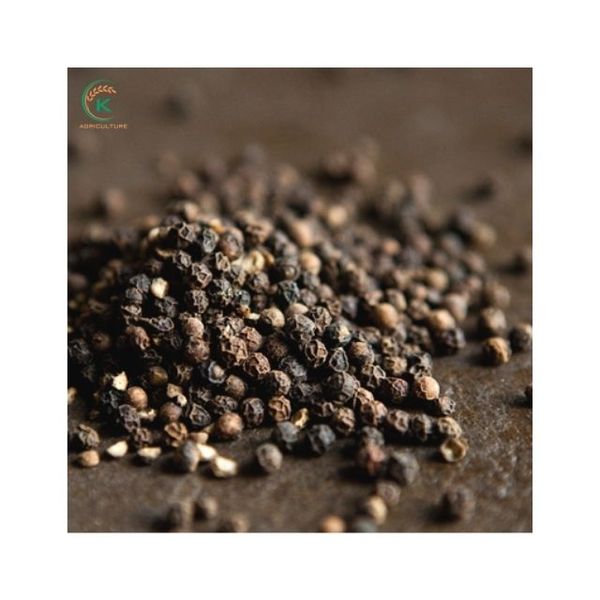 Vietnam Black Pepper 570 G/L Machine Clean, ASTA from 베트남 supplied by K Agriculture - Medium-Large 흑후추 열매